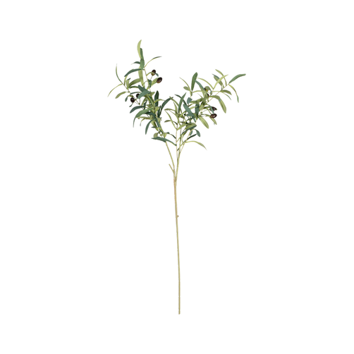 EVEF4684_1.png