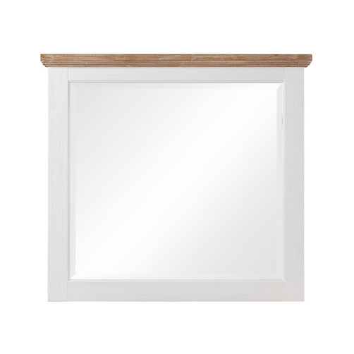MIRRORCLEMENTINE_1.png