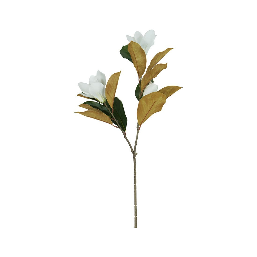 ACCSAPFL0058W_1.png
