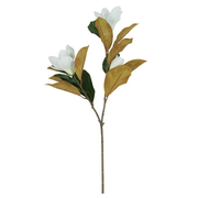 ACCSAPFL0058W_1.png
