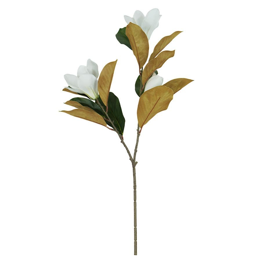 ACCSAPFL0058W_1.png