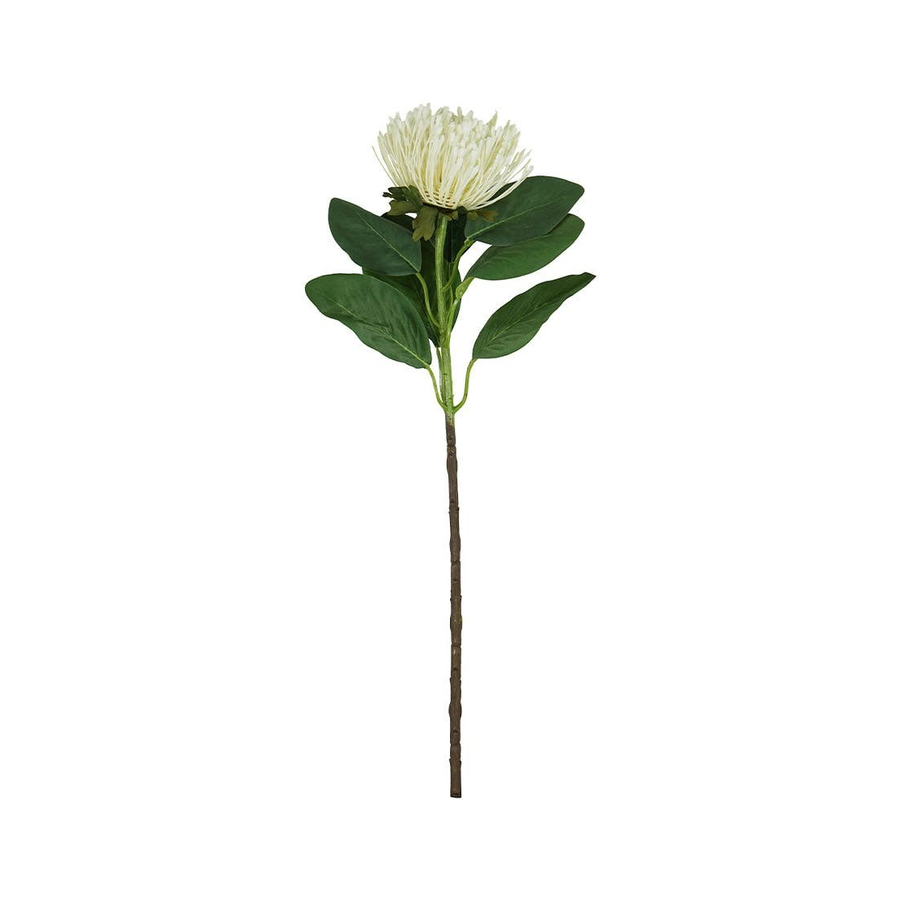 ACCSAPFL04572W_1.png