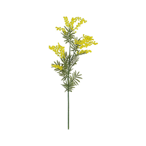 ACCSAPFL04889Y_1.png