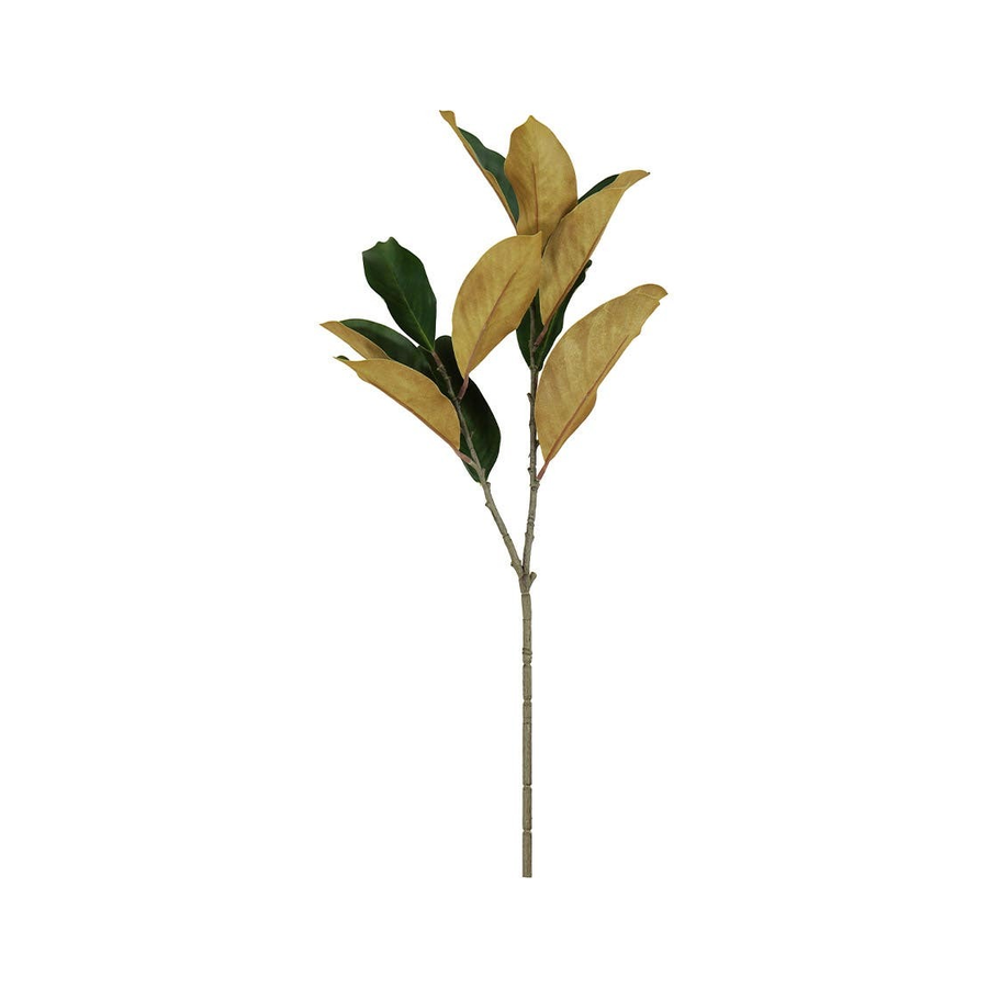 ACCSAPMGL00837_1.png