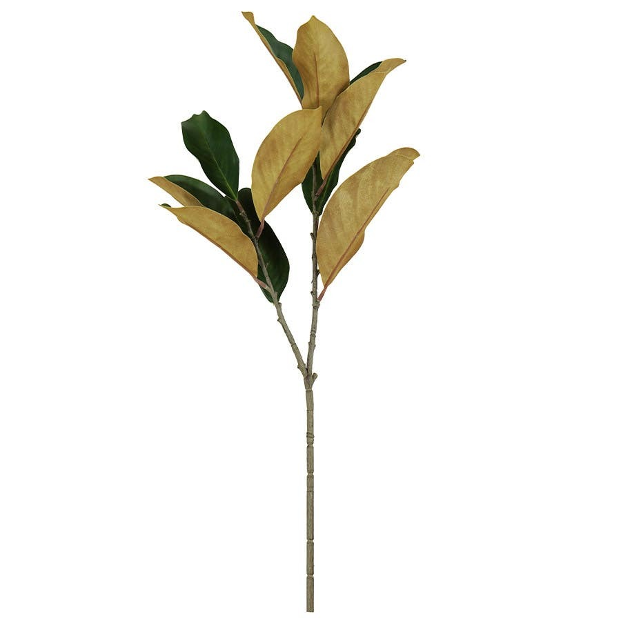 ACCSAPMGL00837_1.png