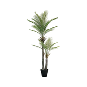 Palm Tree in Pot 190cm