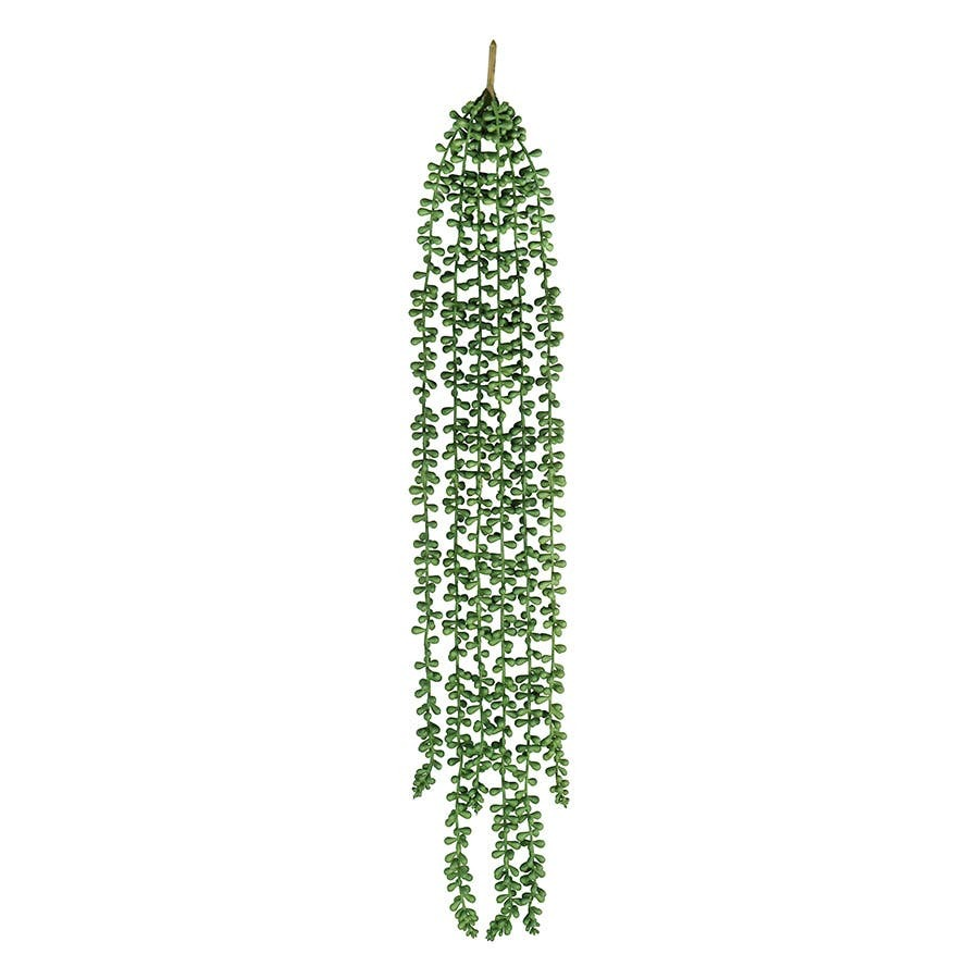 ACCSAPSCL172670_1.png