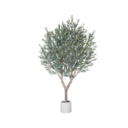 Olive Tree 2.8m Cream Pot No Olives