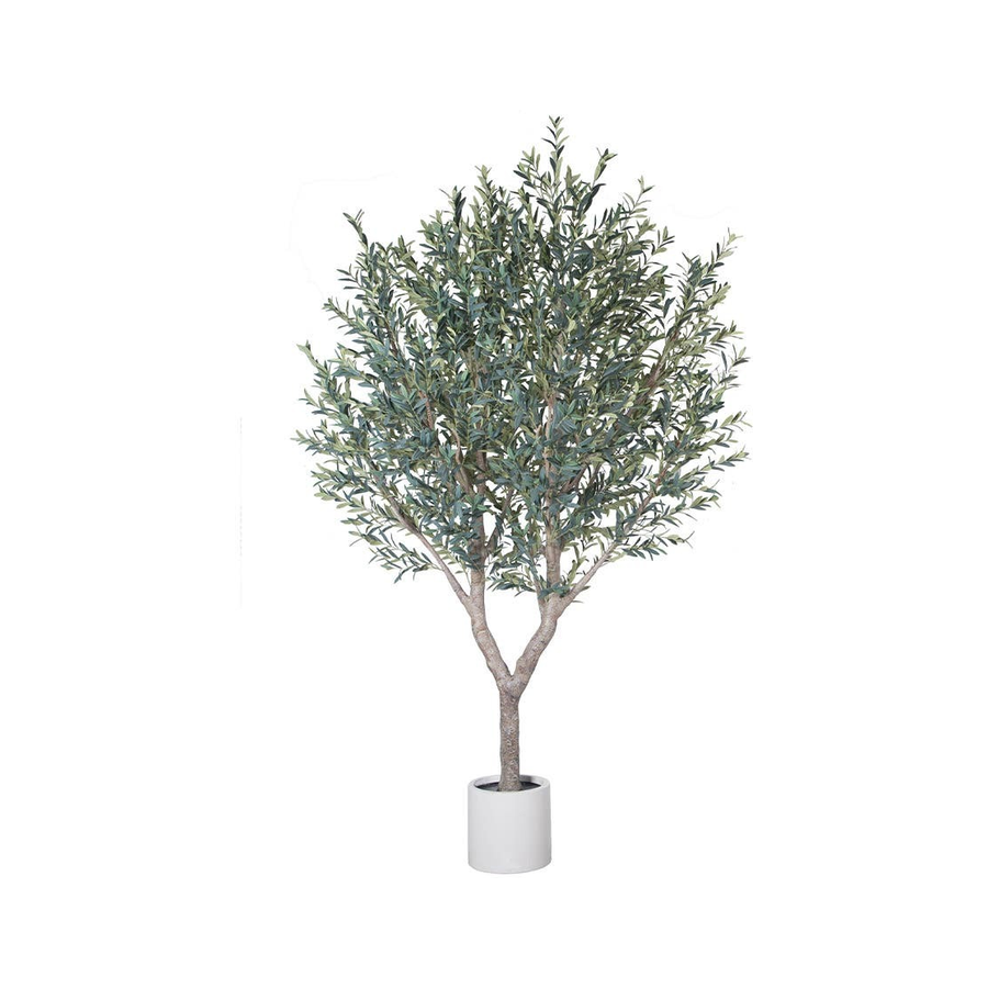 Olive Tree 2.8m Cream Pot No Olives