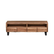 Bengal Entertainment Unit Large
