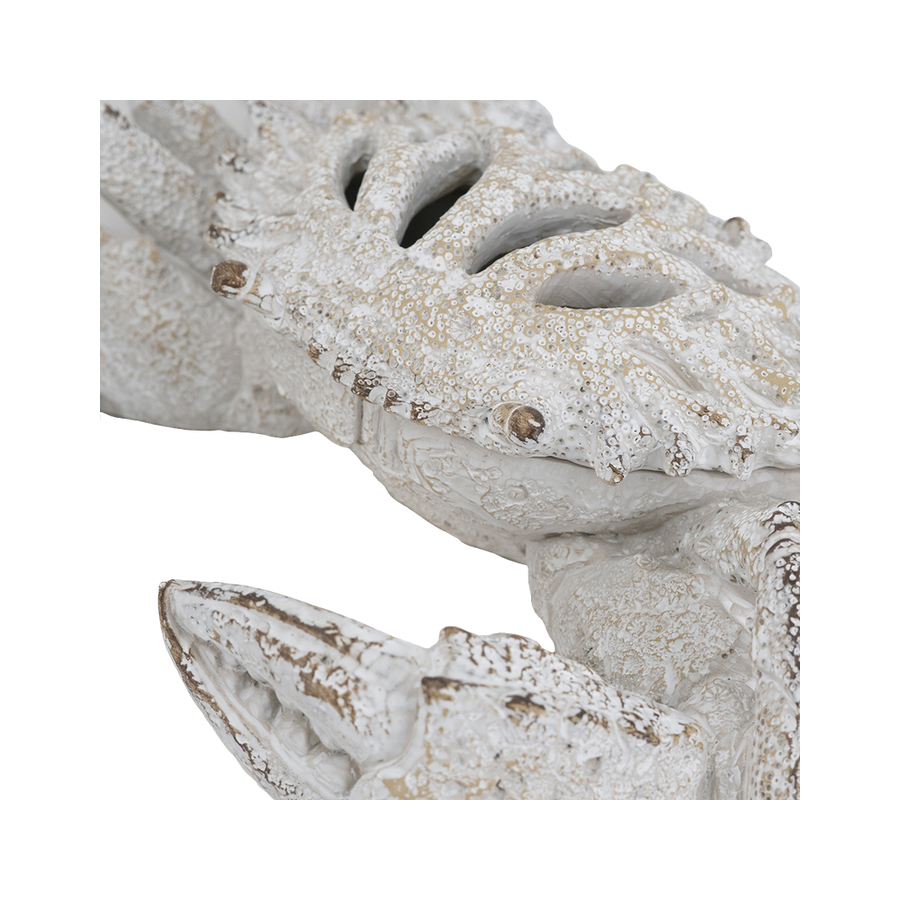 EVE70542_4.png