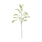 Pampas Spray 117cm