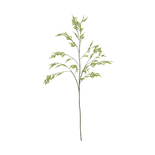 Pampas Spray 117cm