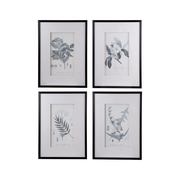 Botanical Set of 4 Artwork