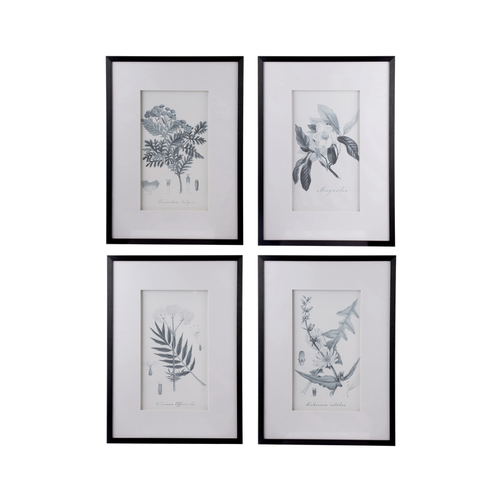 Botanical Set of 4 Artwork