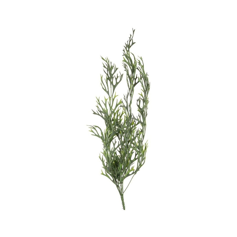 EVEF2630_1.png
