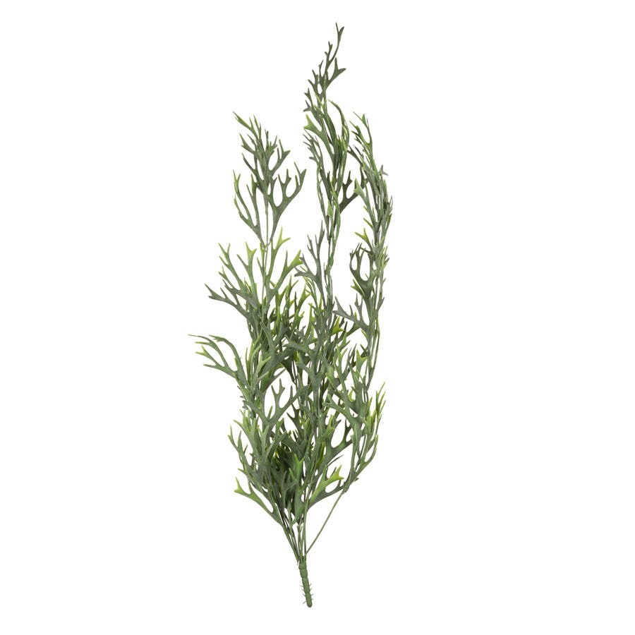 EVEF2630_1.png