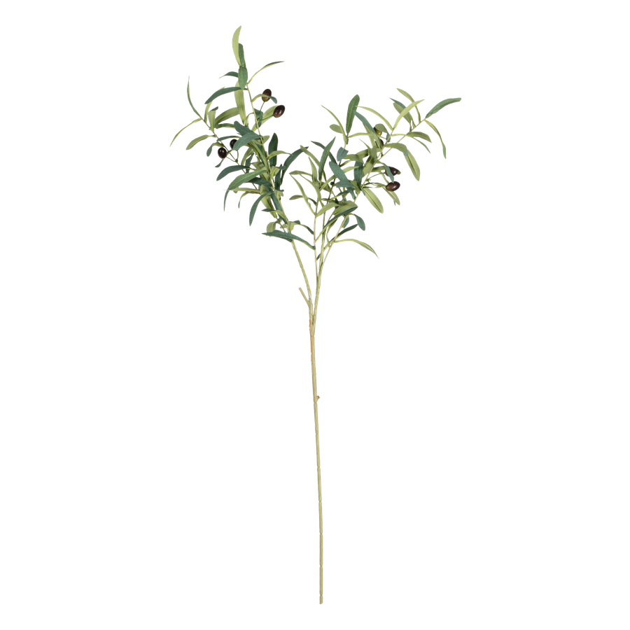 EVEF4684_1.png