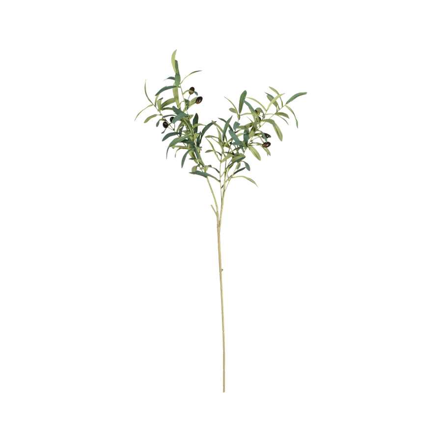 EVEF4684_1.png