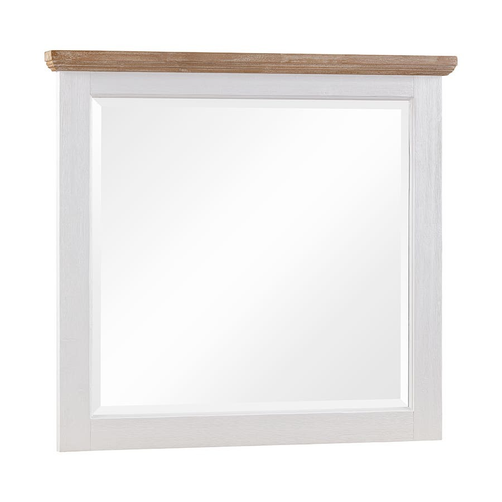MIRRORCLEMENTINE_4.png