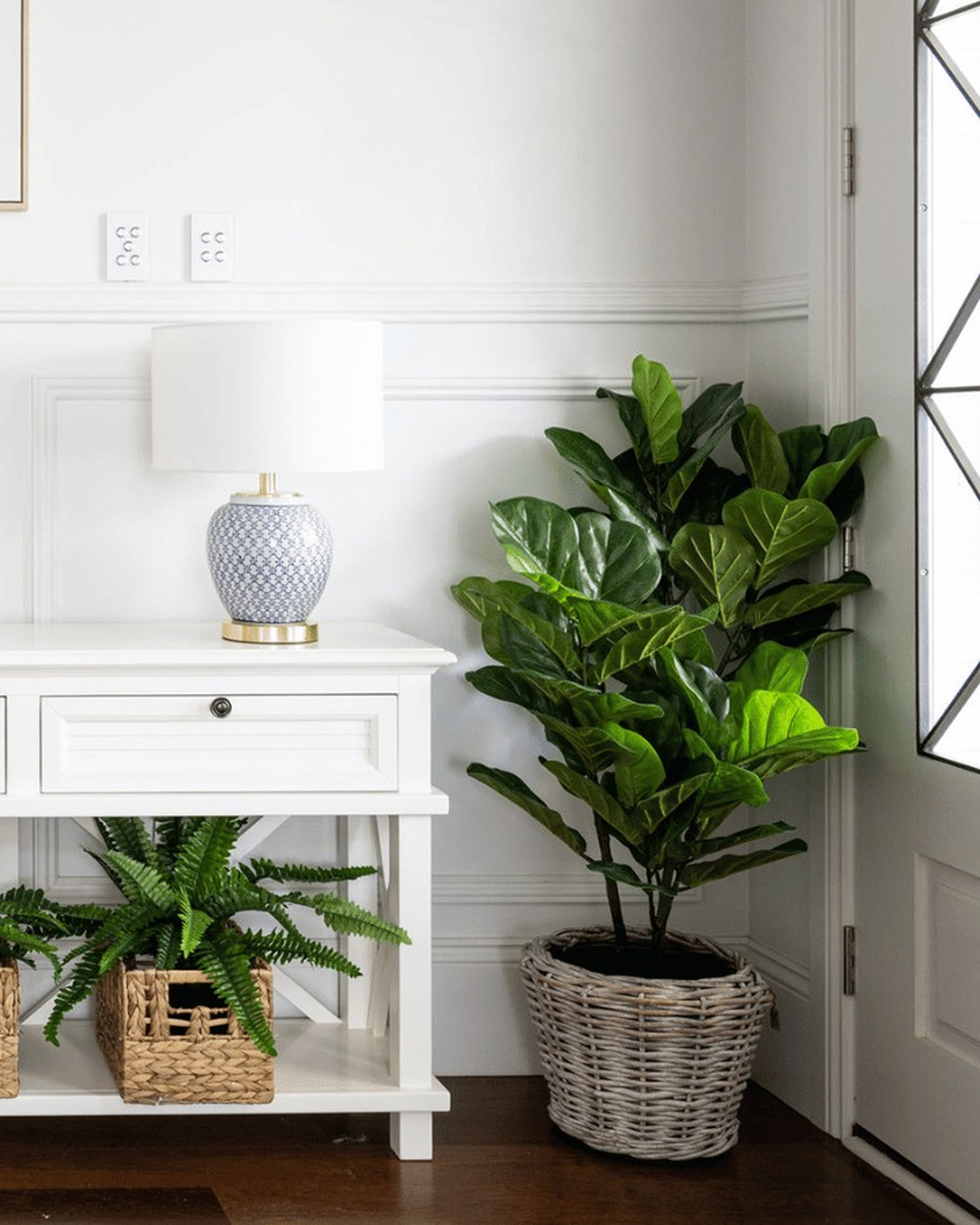1.2m Fiddle leaf Tree w/pot