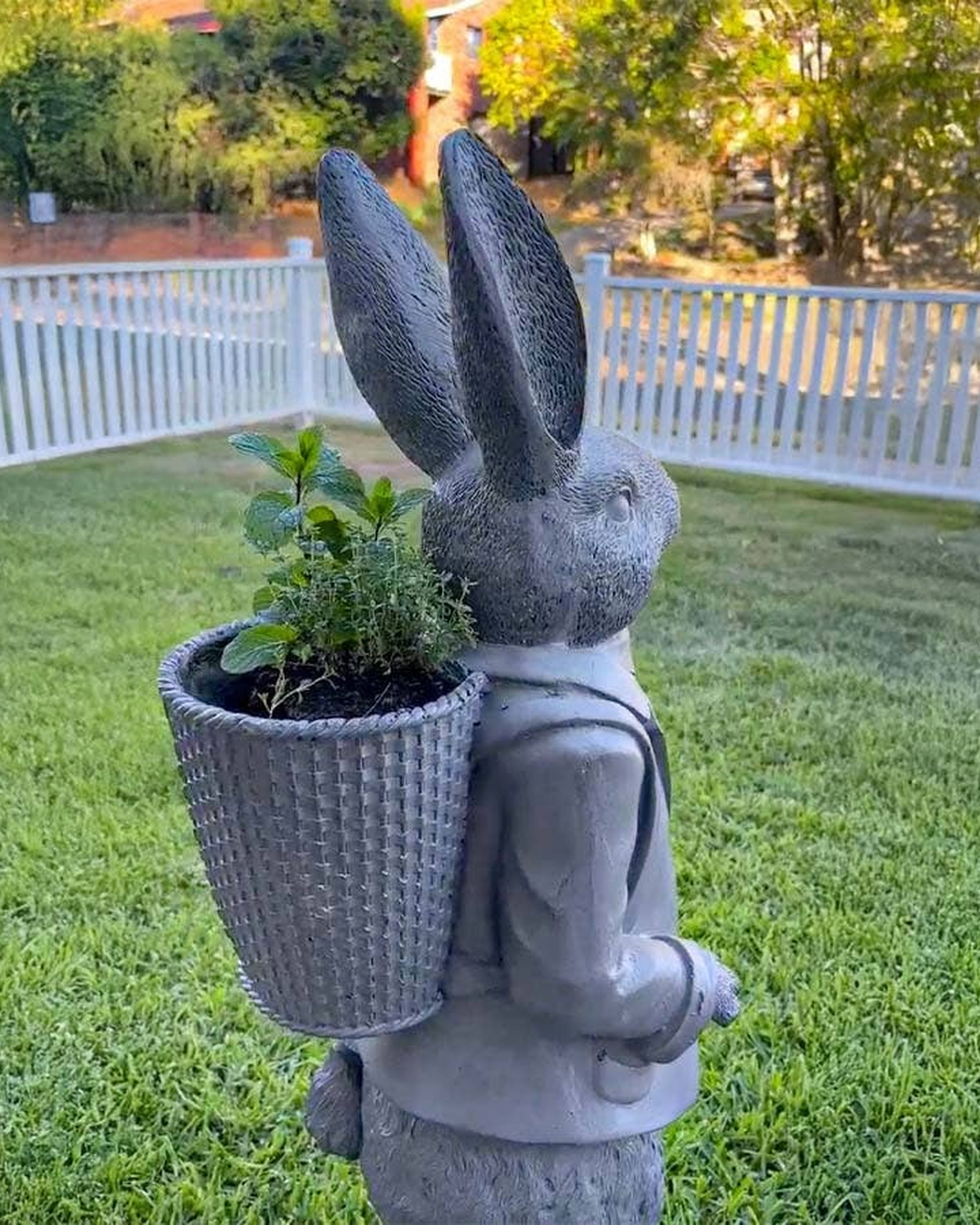 Benjamin Bunny Decor 1m