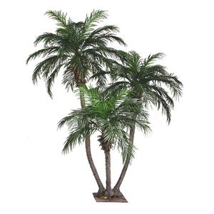 2.8m Phoenix Palm Group