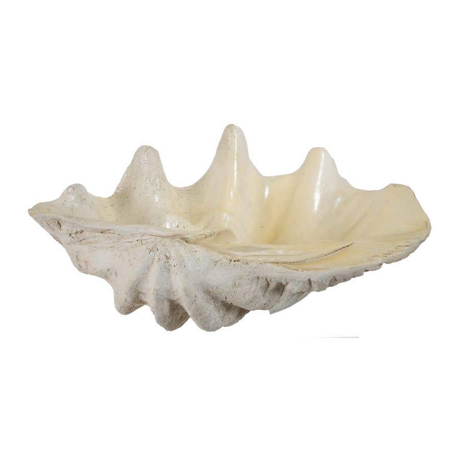 Large Clam Shell Accent Eureka Furniture