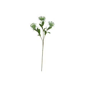 Protea x 3 stem green