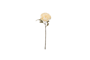 Peony Cream Stem 46cm