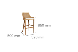 Cleveland Brown Rattan Bar Stool