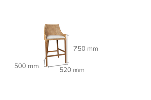 Cleveland Brown Rattan Counter Stool