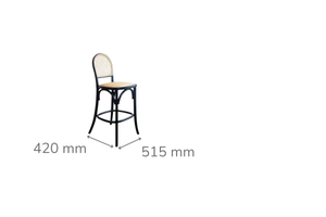 Theodore Black Bar Stool