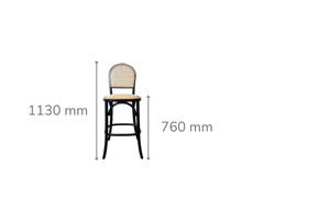 Theodore Black Bar Stool
