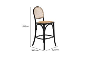 Theodore Black Counter Stool