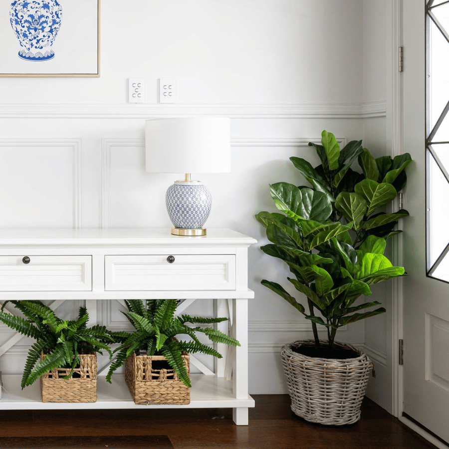 1.2m Fiddle leaf Tree w/pot